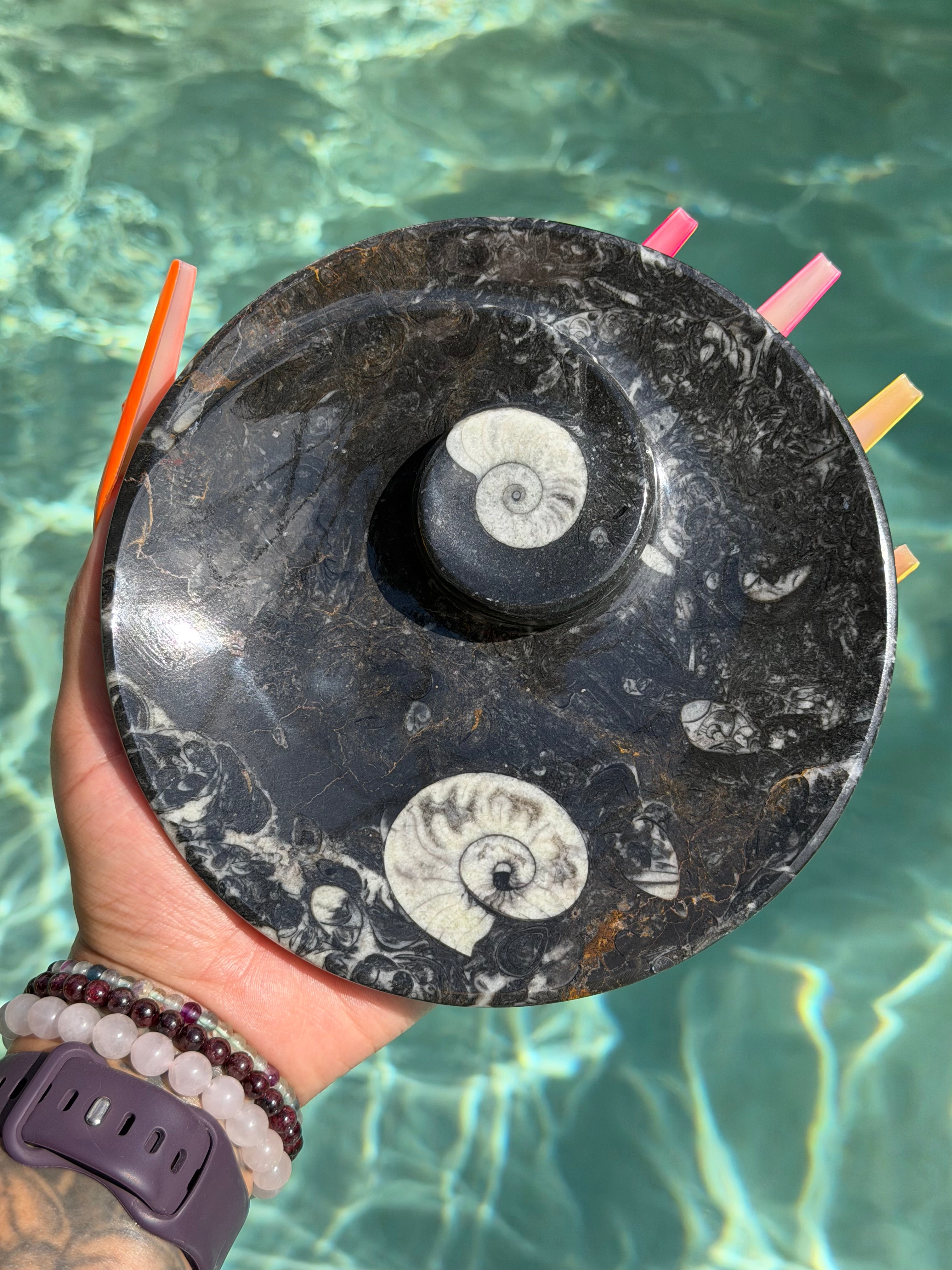 Orthoceras Round Plate O2