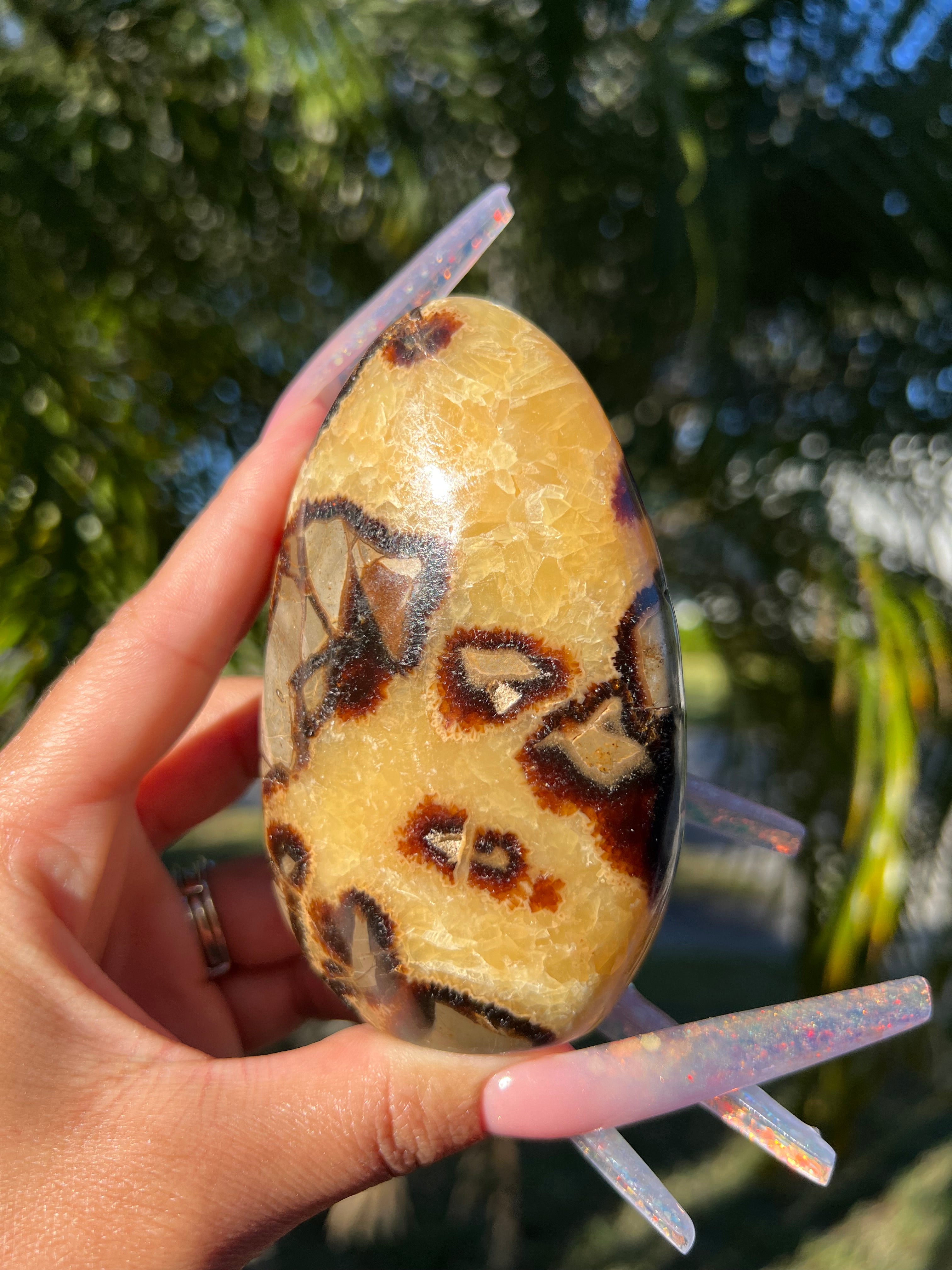 Septarian Freeform SF3